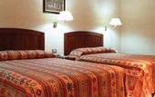 Туры в отель Tabasco Inn