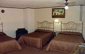 Туры в отель Best Western Argento Inn