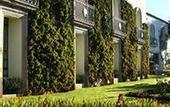 Туры в отель Hotel Spa Hacienda Baruk