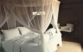 Туры в отель Eagle Tented Lodge & Spa