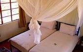 Туры в отель Etosha Safari Lodge