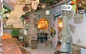 Туры в отель Etosha Safari Lodge