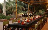 Туры в отель Kalahari Anib Lodge