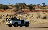Туры в отель Kalahari Anib Lodge