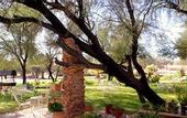 Туры в отель Hammerstein Lodge & Camp
