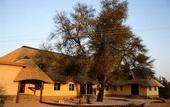Туры в отель Hammerstein Lodge & Camp