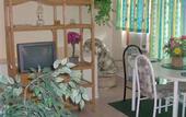 Туры в отель Dundee Bay Villas