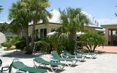 Туры в отель Island Palm Resort