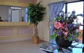Туры в отель Sunrise Resort & Marina