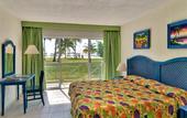 Туры в отель Viva Wyndham Fortuna