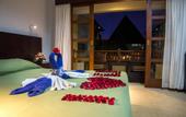 Туры в отель Fourteen Roses Beach Hotel