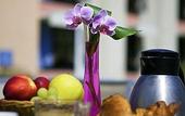 Туры в отель Novotel Firenze Nord Aeroporto