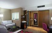 Туры в отель Holiday Inn Paris St Germain des Pres