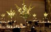 Туры в отель Hyatt Regency Mainz