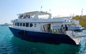 Туры в отель Cupidon Resort Marsa Alam