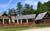 Туры в отель Hotel Krvavec