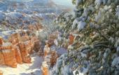 Туры в отель Best Western Ruby's Inn