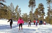 Туры в отель Best Western Ruby's Inn