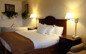 Туры в отель Best Western Ruby's Inn