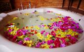 Туры в отель Samui Bayview Resort & Spa