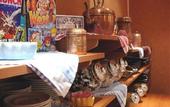 Туры в отель Timhotel Place d'Italie Butte aux Cailles