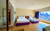 Туры в отель TTC Hotel Premium - Michelia
