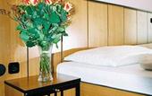 Туры в отель Gartenhotel Gabriel City