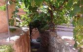 Туры в отель Comfort Hotel Mandarina