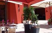 Туры в отель Comfort Hotel Mandarina