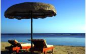 Туры в отель Solitaire Resort Marsa Alam