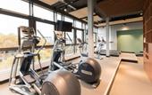 Туры в отель Best Western Plus Hotel St. Raphael