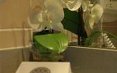 Туры в отель Holiday Inn Toulouse Airport