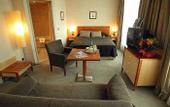 Туры в отель Holiday Inn Toulouse Airport