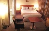 Туры в отель Holiday Inn Toulouse Airport