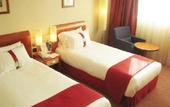 Туры в отель Holiday Inn Toulouse Airport