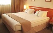 Туры в отель Holiday Inn Toulouse Airport