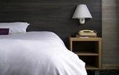 Туры в отель Mercure Annecy Sud