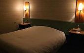 Туры в отель Mercure Annecy Sud