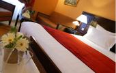 Туры в отель Regent Contades