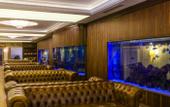 Туры в отель White Gold Hotel & Spa