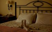 Туры в отель Asteras Resort