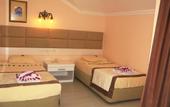Туры в отель Grand Mir'amor Hotel