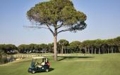 Туры в отель Maxx Royal Belek Golf Resort