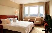 Туры в отель Best Western OL Stadium