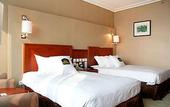 Туры в отель Best Western OL Stadium