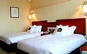 Туры в отель Best Western OL Stadium