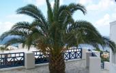 Туры в отель Aegean View Hotel