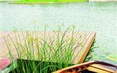 Туры в отель Le Meridien She Shan Shanghai