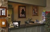 Туры в отель Pokolodi Lodge