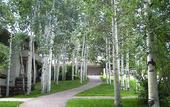Туры в отель Pokolodi Lodge